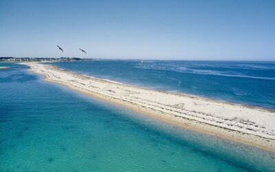 Le sillon de Talbert