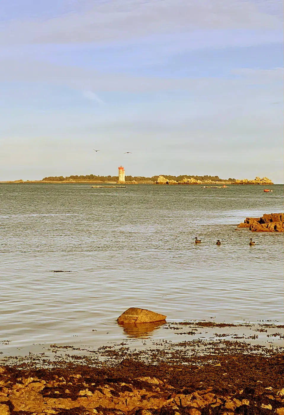 Le phare de Loguivy-de-la-Mer vu depuis le port